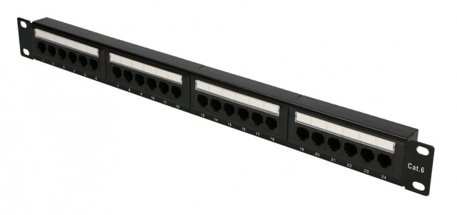 24 RJ45 porte
