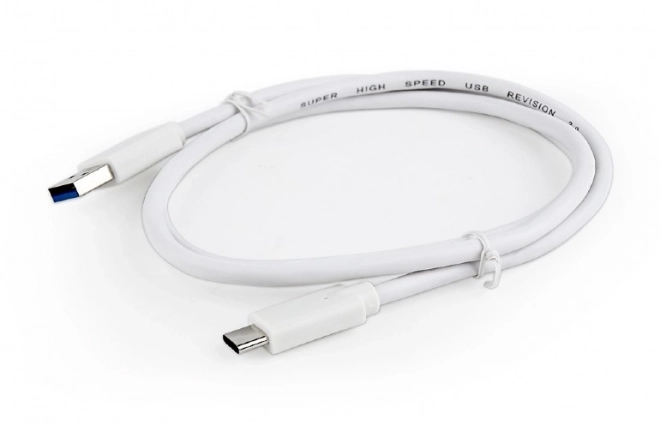 USB 3.0 C AM til CM kabel 1m hvid