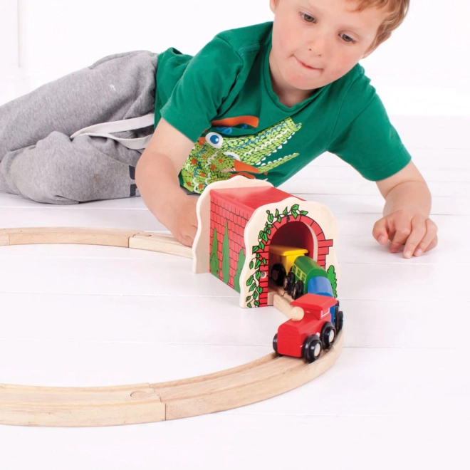 Træt murtunnel til togbane