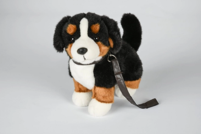 Plysbamse Bernersennenhund med snor 26 cm