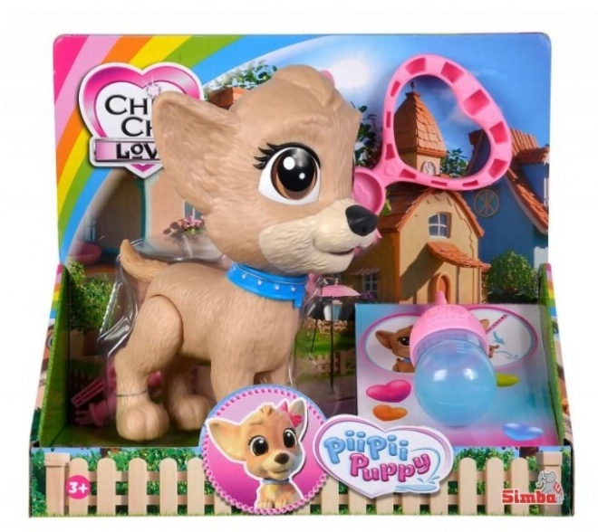 CCL Hund Chihuahua Pii Pii