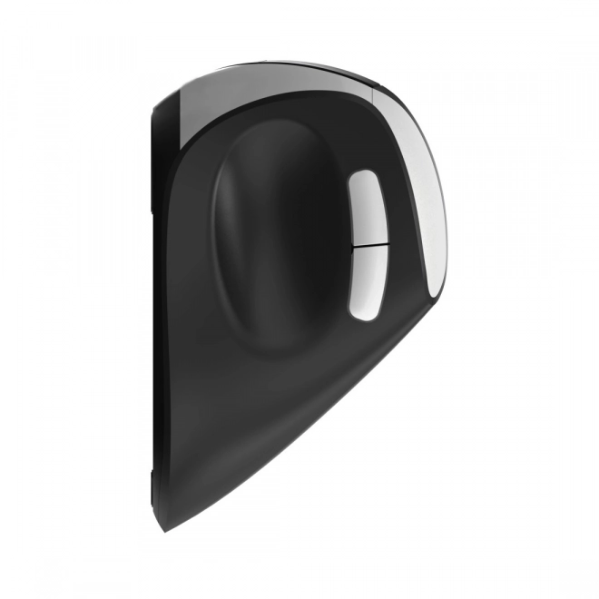Ergonomisk trådløs mus Rapoo EV250