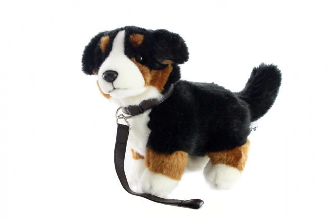 Plysbamse Bernersennenhund med snor 26 cm