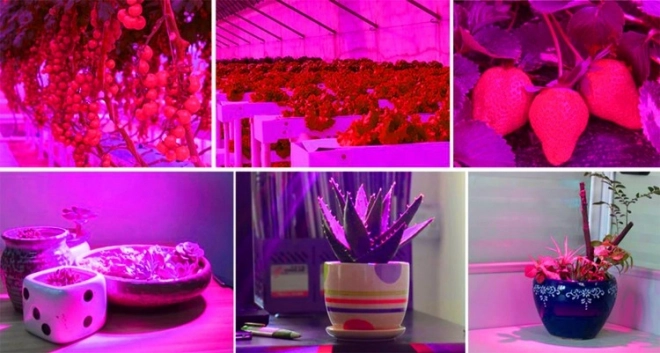 LED-lampe til plantevækst 200 LED E27