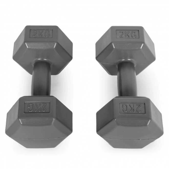 Hexagonale håndvægte ModernHome 2x2 kg grå