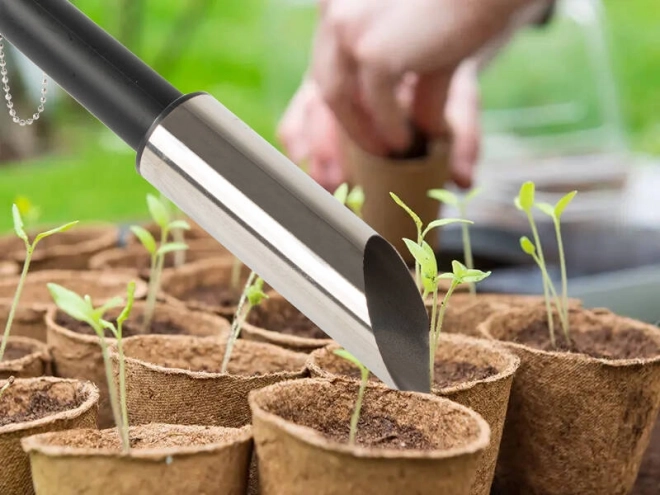 Haveudplantningsske