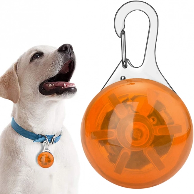 Luminescerende LED-vedhæng til halsbånd for hunde og katte