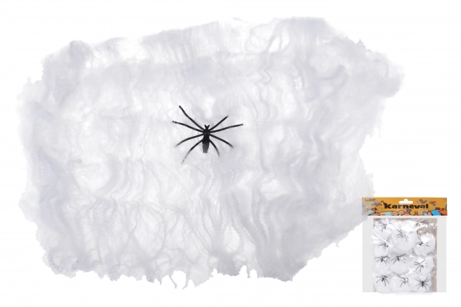 Halloween spindelvæv med edderkop