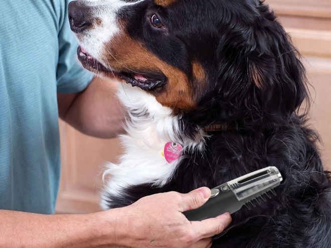 Elektrisk kam til hunde og katte