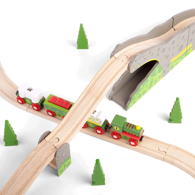 Bigjigs Rail Dinosaur bro