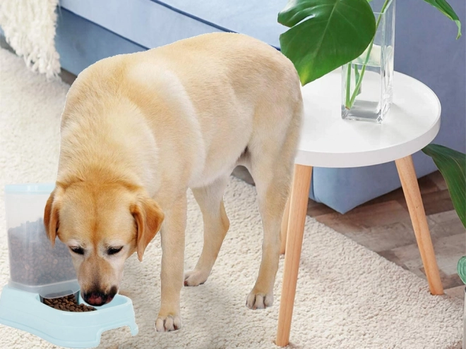 Automatisk foderdispenser til hunde og katte