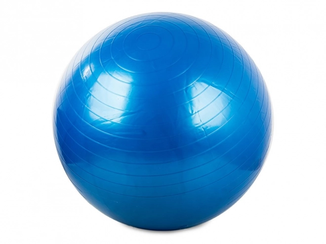 Gymnastikbold Fitness 65 cm med pumpe