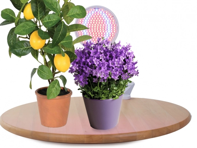 LED-lampe til plantevækst 20W
