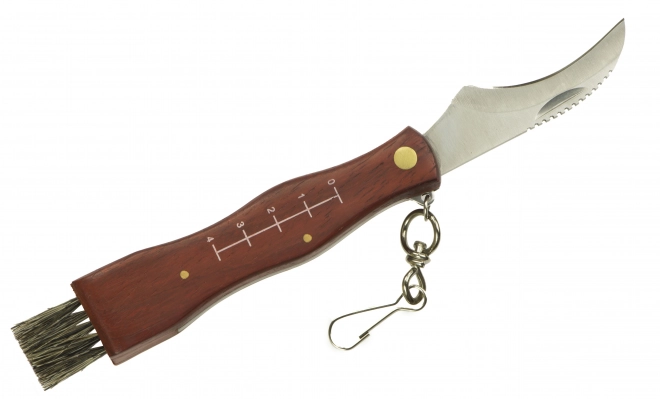 Lommekniv til svampe med etui