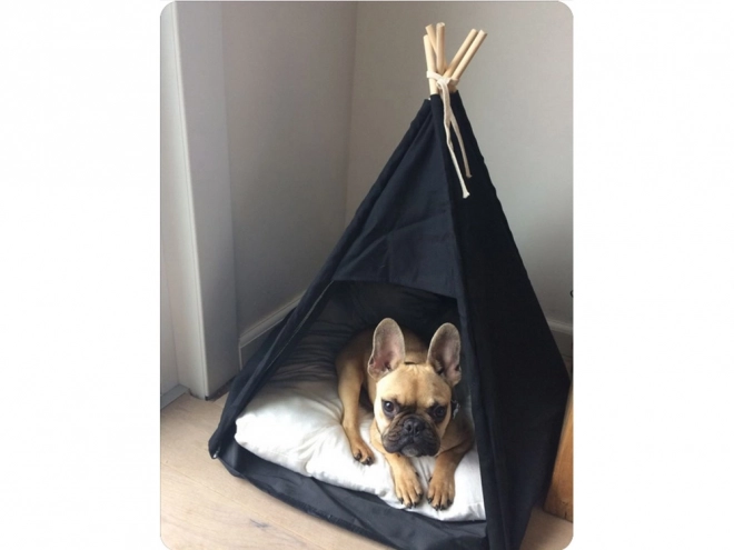 Telt hus til hunde og katte