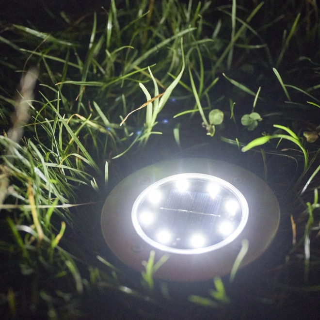 Solcellehave LED belysning - 12 stykker