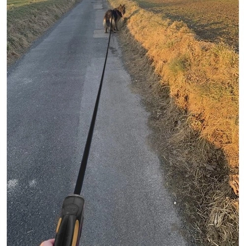 Automatisk hundesnor 8m/50kg