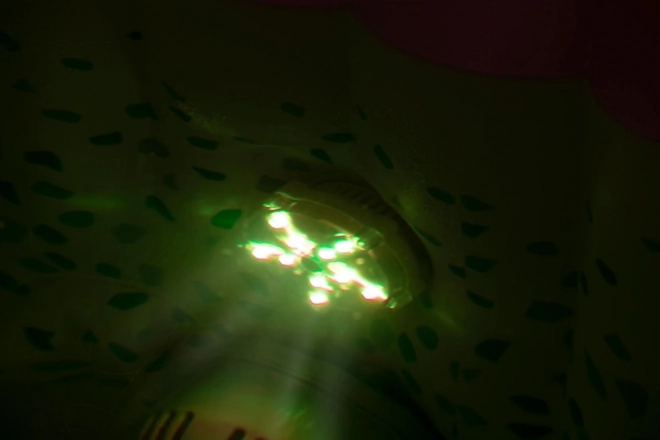 LED poollampe Lay-Z-Spa