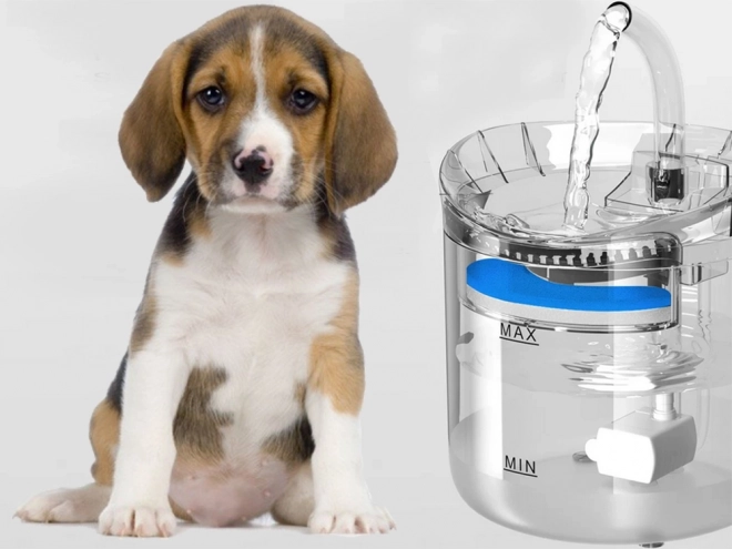 Automatisk drikkedispenser til katte og hunde