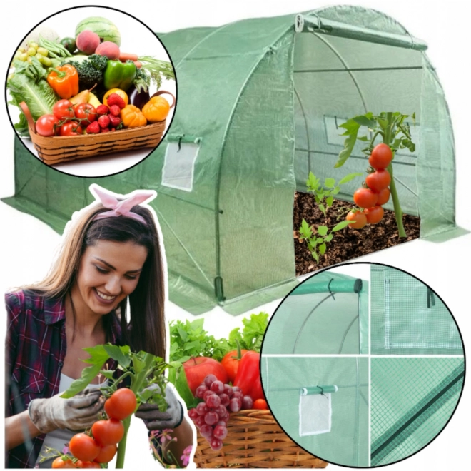 Have folietunnel drivhus 4x2,5x2m 10m² grøn
