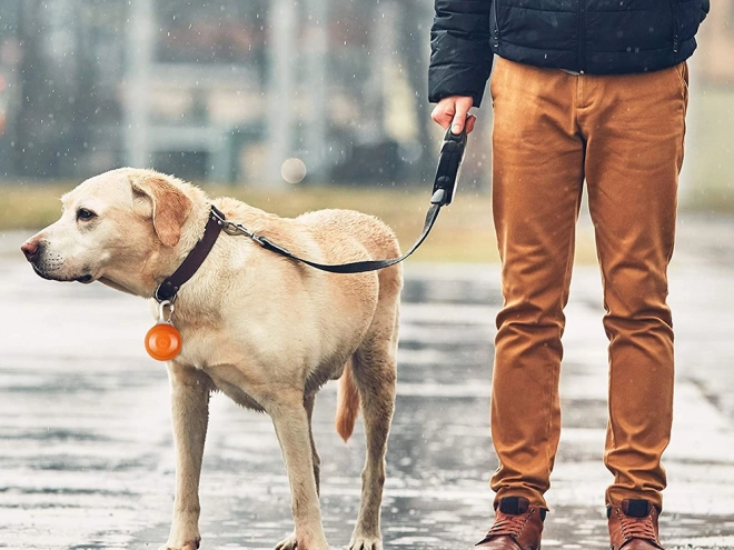 Lysende vedhæng til hunde- og kattehalsbånd