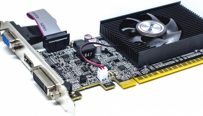 Grafikkort GeForce GT 210 1GB DDR3