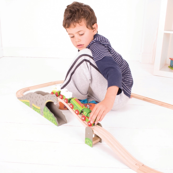 Bigjigs Rail Dinosaur bro