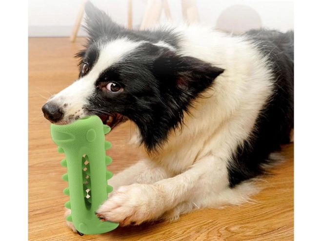 Tyggelegetøj til tandrensning til hunde