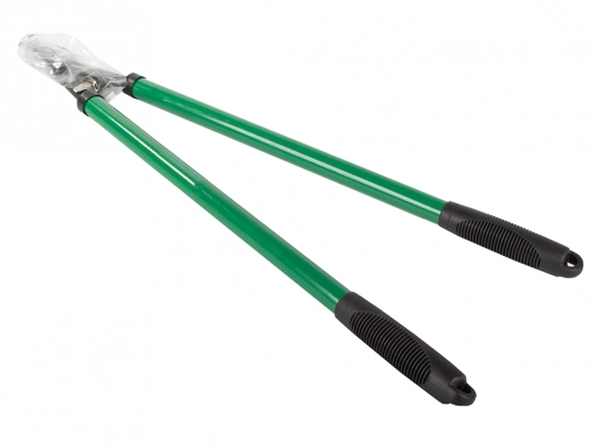 Lange ambolt-havesakse til grene