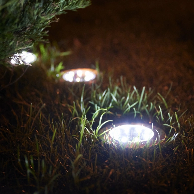 Solcellehave LED belysning - 12 stykker