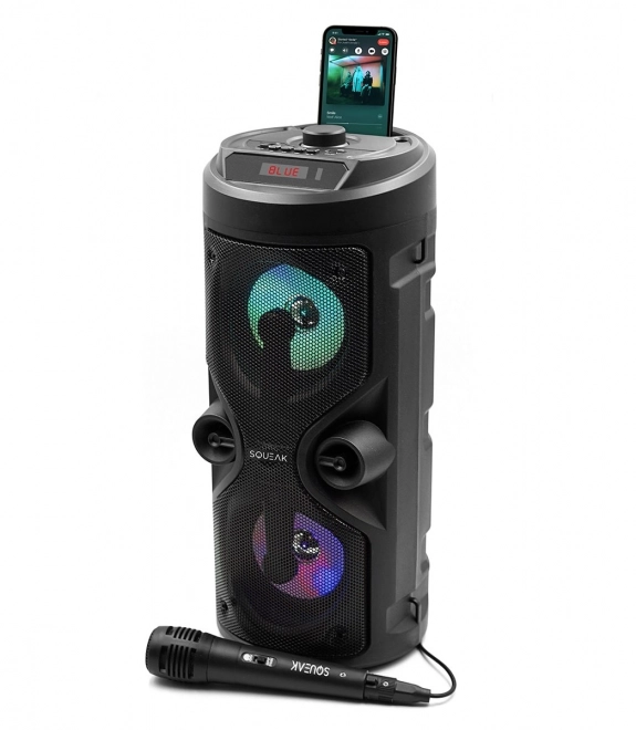 Bluetooth højttaler Harmony med karaoke-funktion