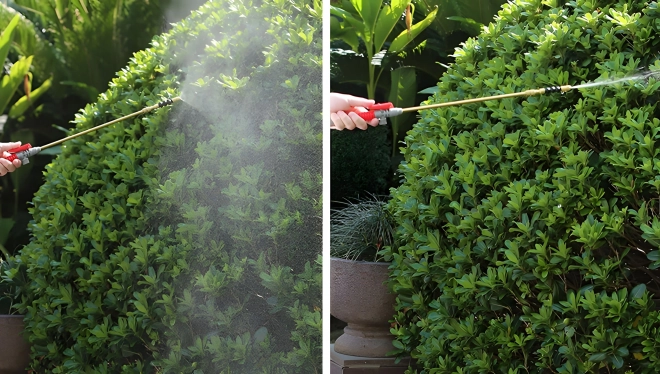 Håndholdt tryksprøjte til have MultiGarden 5L