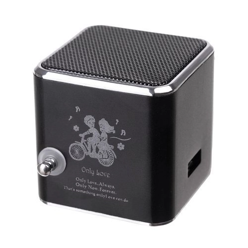 Bærbar Bluetooth-højttaler med radio og LCD-skærm TD-V26