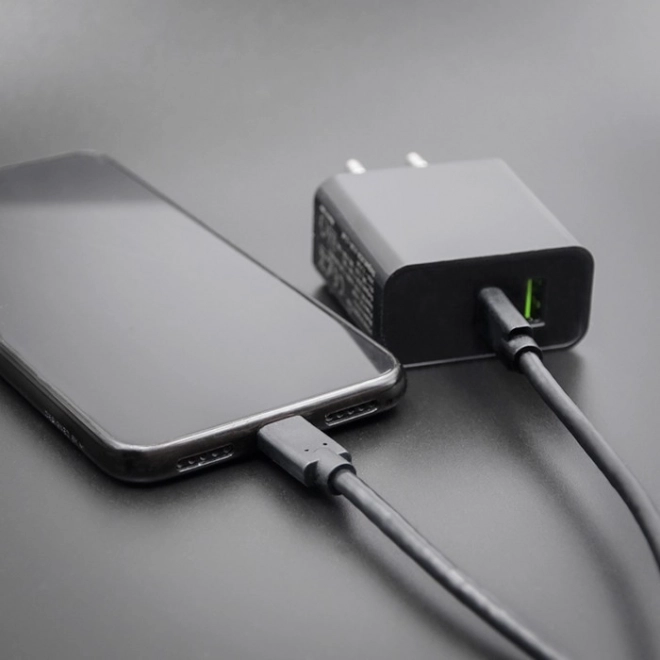 USB-C til USB-C kabel til dataoverførsel og opladning, 3m, sort