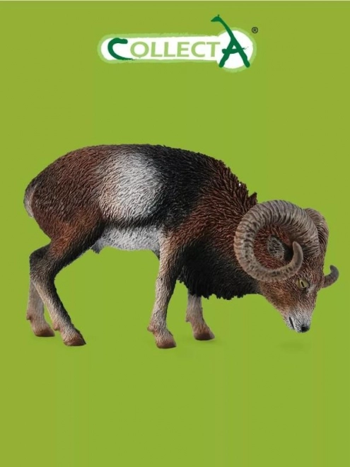 Europæisk muflon