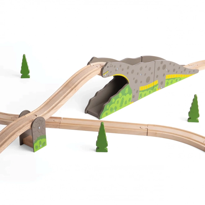 Bigjigs Rail Dinosaur bro