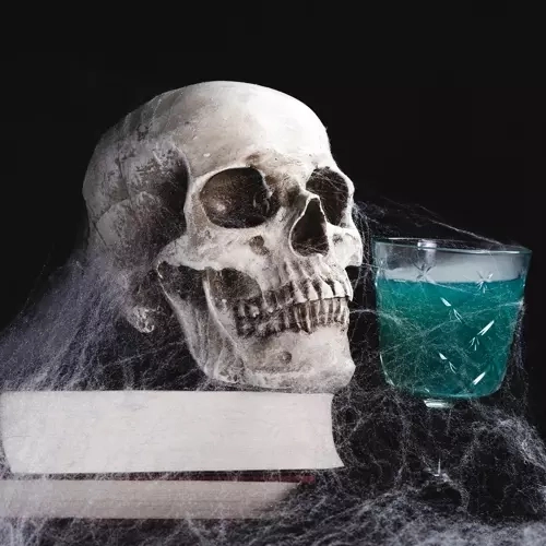 Kunstig Halloween spindelvæv med edderkopper