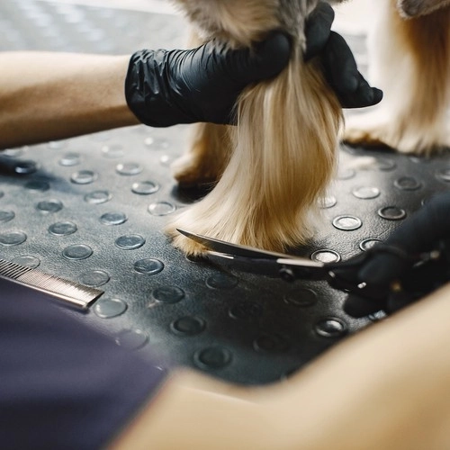 Sakse til hunde Purlov 23186