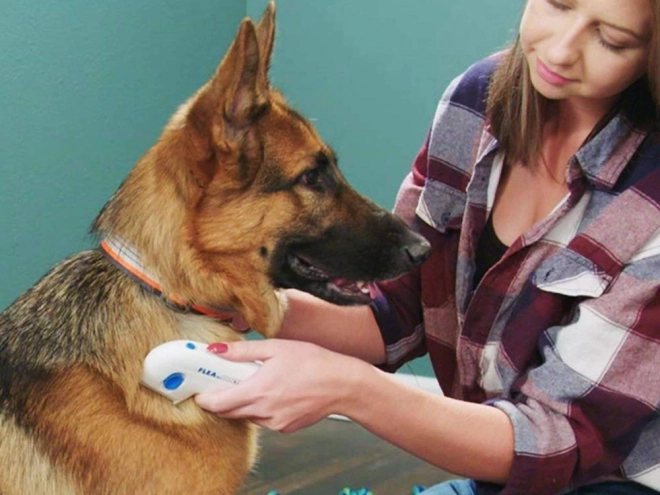 Elektrisk loppekam til hunde og katte