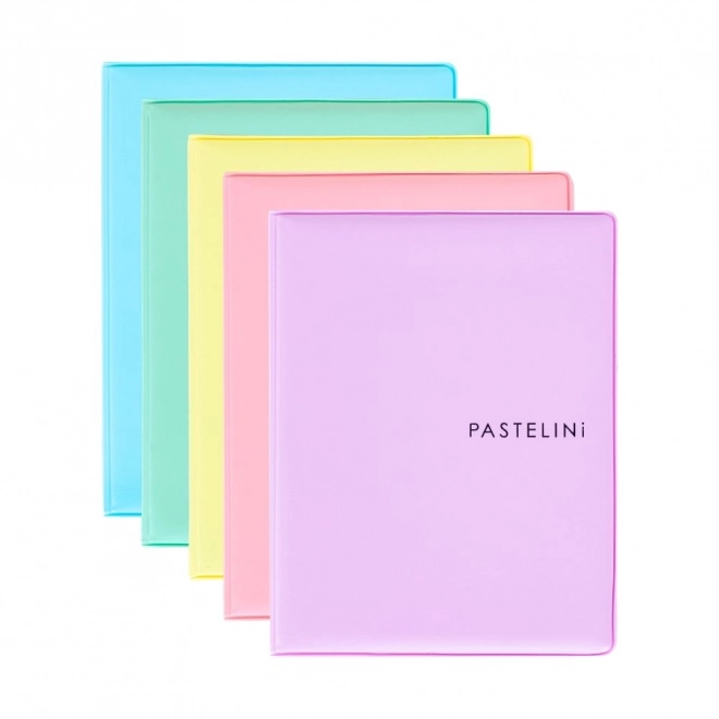 Dokumentomslag PASTELINI