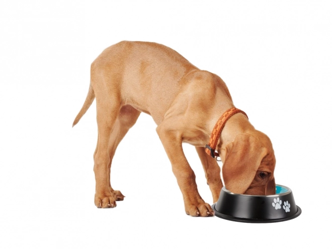 Skridsikker skål til hunde i rustfrit stål 1l