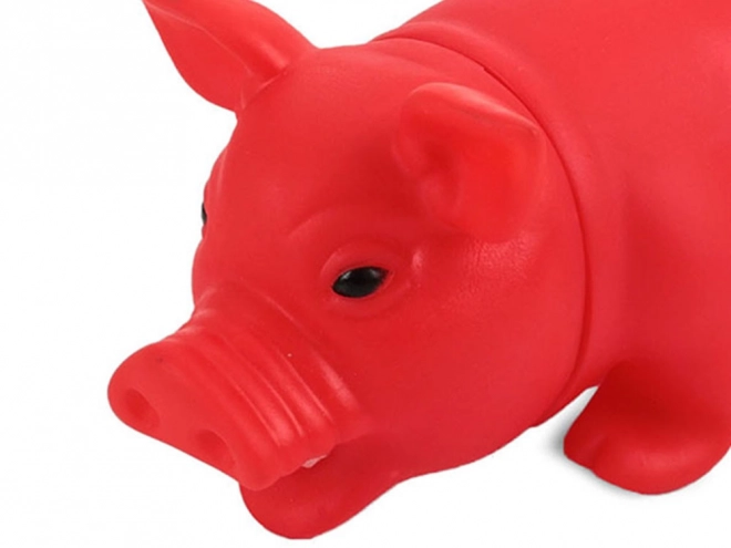 Squeaky gummilegetøj til hunde i form af en gris