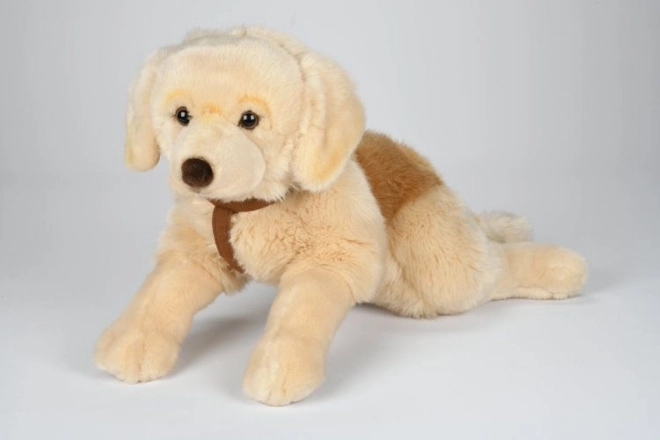 Plys-retriever til kramning