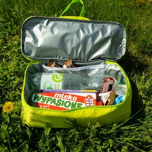 Isoleret strand- og picnicpose
