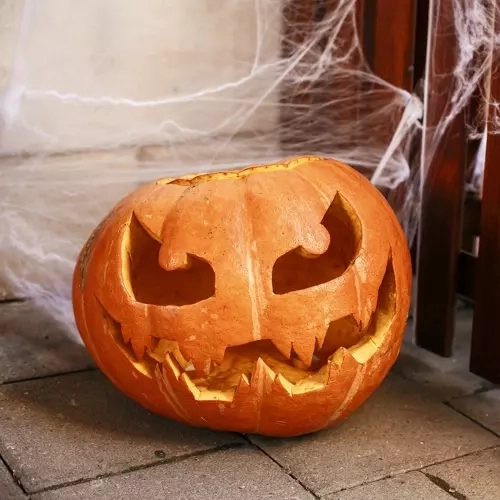 Kunstig Halloween spindelvæv med edderkopper