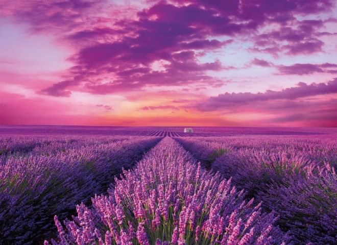 Puzzle Lavendel 1000 brikker Clementoni