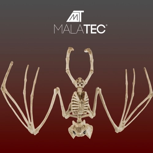 Flagermusens skelet - dekoration 30 cm Malatec