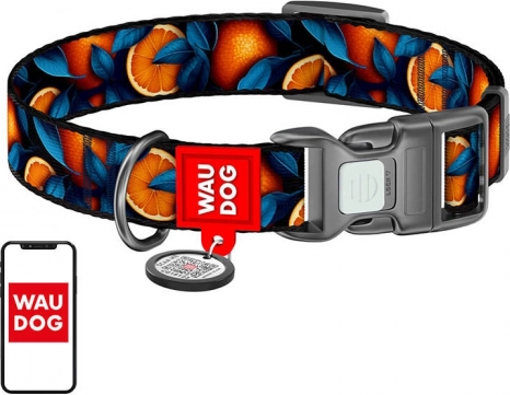 Waudog hundehalsbånd "Oranges" i nylon med QR-kode, størrelse XL