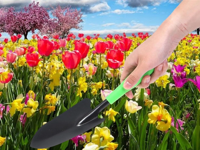 Have omplantningsske