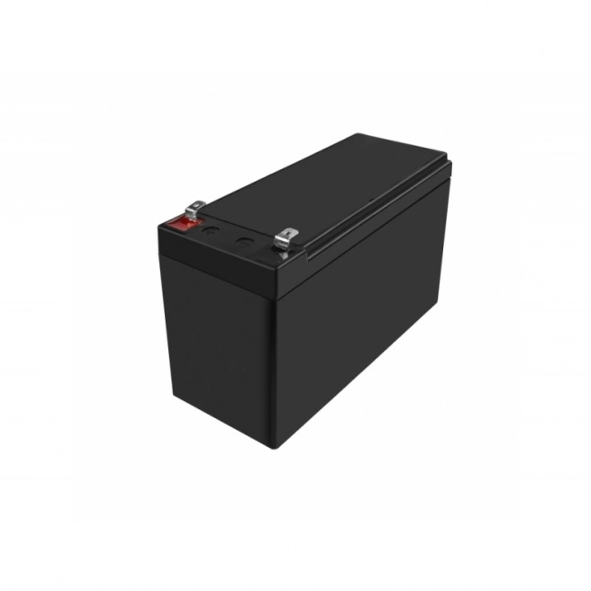 Genopladelig batteri AGM VRLA Green Cell AGM50 12V 10Ah (til UPS, legetøjsbiler, græsslåmaskiner)